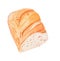 Sliced loaf of white bread - vector watercolor painting
