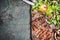 Sliced medium rare grilled beef barbecue steak with fresh green salad and cutlery on rustic background, top view