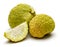 Sliced osage oranges or Maclura