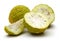 Sliced osage oranges or Maclura