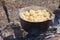 Sliced potato in a cauldron. Preparing of a soup