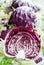 Sliced radicchio on table. Vertical