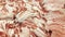 Sliced raw meat on fresh pork market