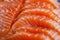 Sliced salmon fillet texture in detailed closeup