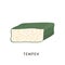 Sliced tempeh wrapped in leaf. Vegan organic fermented soybeans. Soy cheese isolated on white. Flat vector cartoon