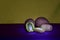 Sliced and whole kiwi, coconuts on a polished purple table