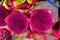 slices of bright pink dragonfruit cactus fruit with lots of tiny black seeds