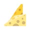 Slices cheese flat style icon