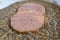 Slices of cotechino in soup of lentils