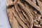 Slices of dried lingzhi mushroom, also called Reishi, on a wooden background