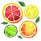 Slices of fresh citrus fruits isolated