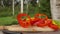 Slices of fresh ripe pepper falling on a wooden board in slow motion