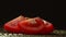 Slices of fresh sliced tomato close-up on black isolate background