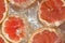 Slices of grapefruit in water on white background. Grapefruit close-up in liquid with bubbles. Slices of blood red ripe