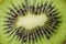 Slices of kiwi fruit on kiwi background.Fresh kiwis on wooden ground