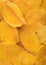 Slices of large sweet dried mangoes.Close up macro