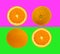 Slices of orange fruit isolated on colorful purple and green pastel background - fresh modern minimalistic and creative image