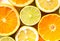 Slices of oranges, lemons, limes and mandarins