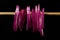 Slices of a purple onion hanging from a wooden stick