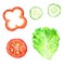 Slices of tomato, paprika, cucumber and leaf of lettuce for sandwich. Watercolor illustration