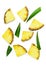 Slices of unpeeled pineapple and green pineapple leaves on a white background isolate. Juicy summer tropical dietary