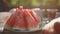 Slices of watermelon are on a porcelain white plate. Sliced watermelon on the table. Still life