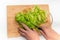Slicing fresh green salad on a wooden cutting board. View from above. Female hands