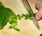 Slicing green pepper ready to cook.