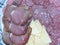 Slicing smoked sausages, dried meat and cheese on a plate. Homemade jerky. Environmentally friendly and natural product.