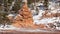 A slickrock hoodoo in Southern Utah is surrounded by windswept snow and pine trees