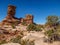 Slickrock Trail in Canyonlands National Park