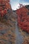 Slide Canyon hiking trail fall leaves mountain landscape view, around Y Trail, Provo Peak, Slate Canyon, Rock Canyon, Wasatch Rock