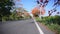 Slide dolly shot orange flower tree side of road