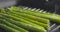 Slide slow motion shot of cooking frozen green asparagus on grill pan