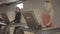 Slim charming brunette girl talking to blond blurred friend as walking on treadmill. Middle shot portrait of endurant