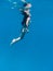 Slim naked woman posing underwater in transparent blue ocean. Nude young women swimming in sea