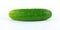 Slim single cucumber