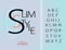 `Slim Style` Vector of modern bold font and alphabet, typeface, abstract letters typography.Exclusive Letters Typography