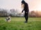 Slim teenager girl having fun with small Yorkshire terrier in a park