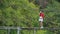 Slim young brunette woman in pink glasses and sexy red shirt with phone stands on bridge over river and looks far away