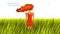 Slim young girl from back stands in a grass field vector illustration, grassland meadow tranquil scene relax and rest concept, get