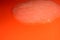 Slime on an orange background