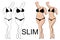 Slimness and weight loss