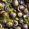 A slimy and crawling texture with snails and slugs4, Generative AI