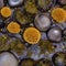 A slimy and gooey texture with slime molds and fungi2, Generative AI