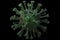 Slimy Green Coronavirus Illustration 