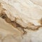 Slimy Marble: Brown And White Texture For Interior Decor