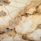 Slimy Marble: A Unique Blend Of Beige Stone And Organic Contours