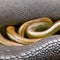 A slimy and slithery texture with eels and snakes1, Generative AI