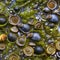 A slimy and wet texture with snails and seaweed3, Generative AI